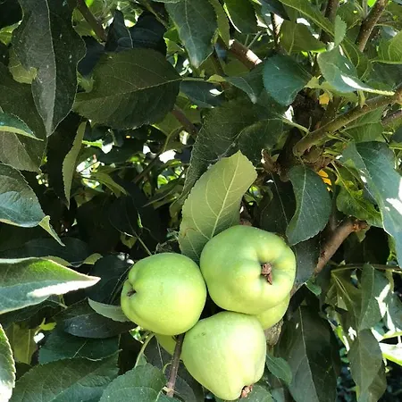 וילה Galini